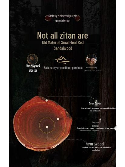 Men's Red Sandalwood Pixiu Beaded Buddhist Bracelet Gift