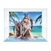 Azur Lane Amagi Hasumi Shizune Special Edition with Acrylic Display Case Scale PVC ABS Finished Figure Ver. 1/7 & Pre-painted