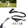 Durable And Safe Nylon Dog Leash With Reflective Design For Pet Owners