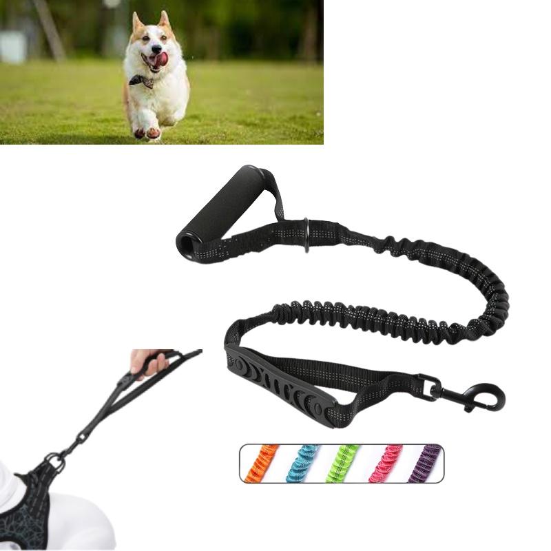 Durable And Safe Nylon Dog Leash With Reflective Design For Pet Owners