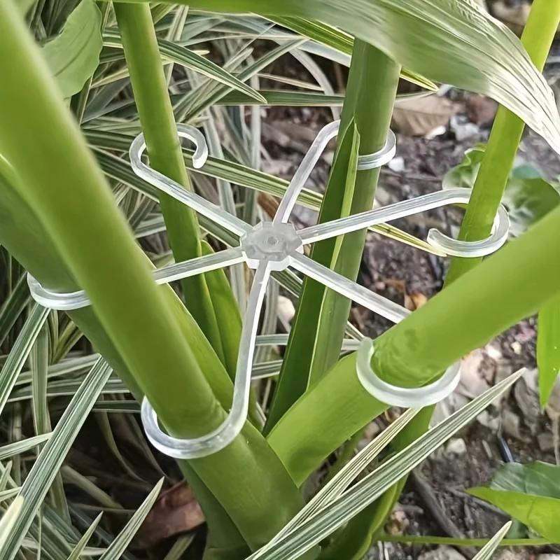 4 Plastic Plant Support Clips, Transparent Green Vine Climbing Frame, Adjustable Plant Stem Clips for Fixing and Upright Growth