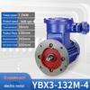 Vertical Explosion-Proof Motor