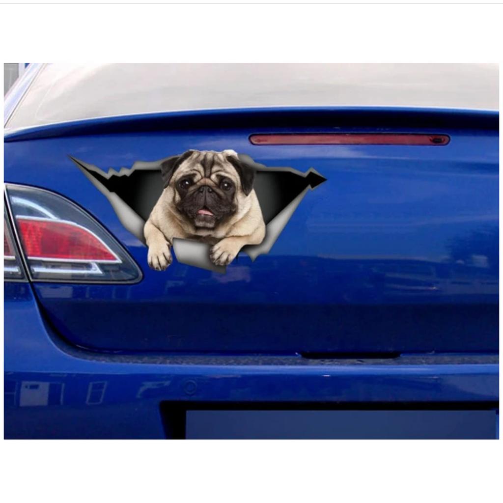 ZHTDXYS Pug Sticker Pet Decal Pug Decal Funny Car Sticker Vinyl Decal 2pcs 21cm Longest Side