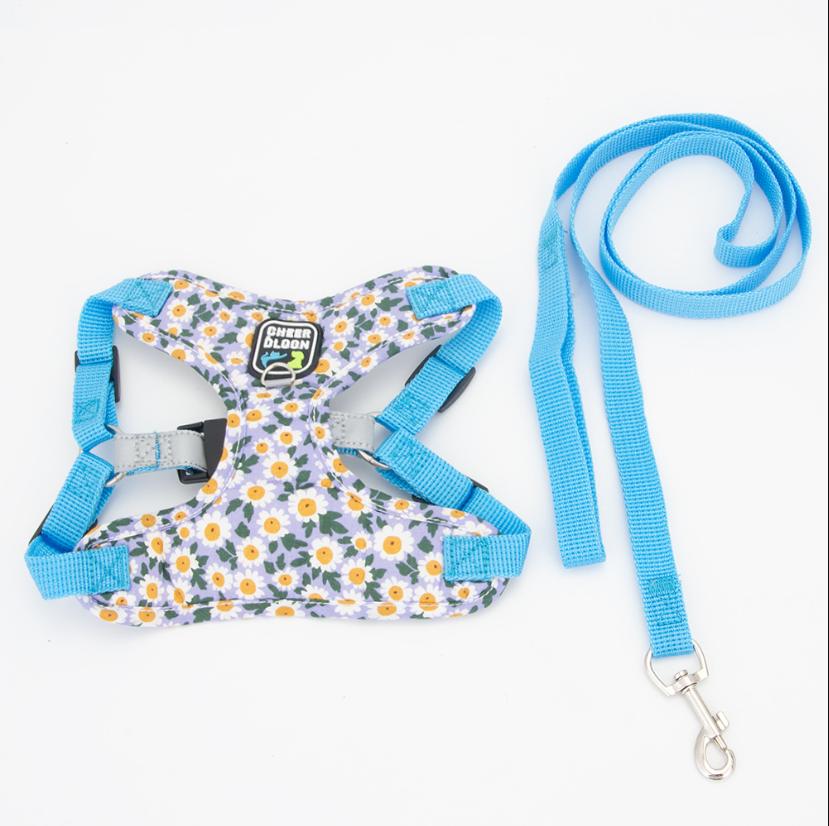 Sicheres atmungsaktives Hundegeschirr und Leinen-Set für kleine bis mittelgroße Hunde, Katzen Geschirre Weste Welpen Brustgurt