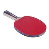 Double Fish 6-Star Table Tennis Paddle