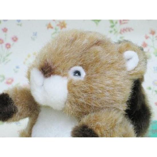 Takenoko Puchi Puchi Land Forest Friends Squirrel Plush Toy 58438