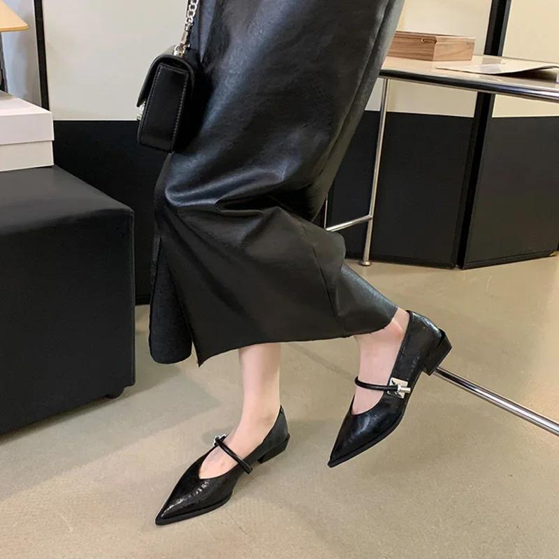 Fashion Spring Autumn Pointed Toe Women Pumps Fashion Shallow Low Heel Shoes Ladies Street Style Mary Jane Shoes