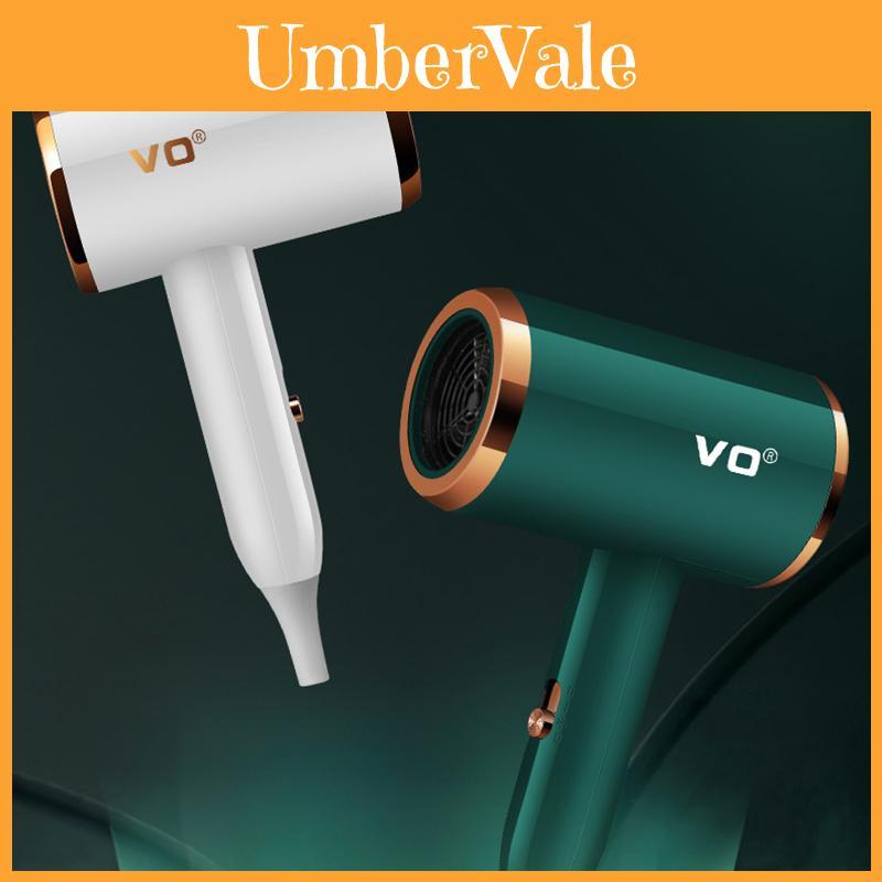 New Household Hair Dryer Salon Hairdressing Shop Negative Ion Quiet Dryer