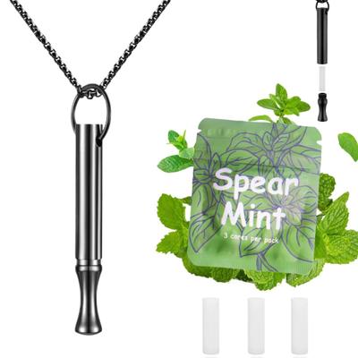 Breathing Necklace To Quit Smoking and Vaping with Refillable Mint Pods Stainless Steel Stop Smoking Aids Fidget Necklace for Anxiety Relief Smokeless
