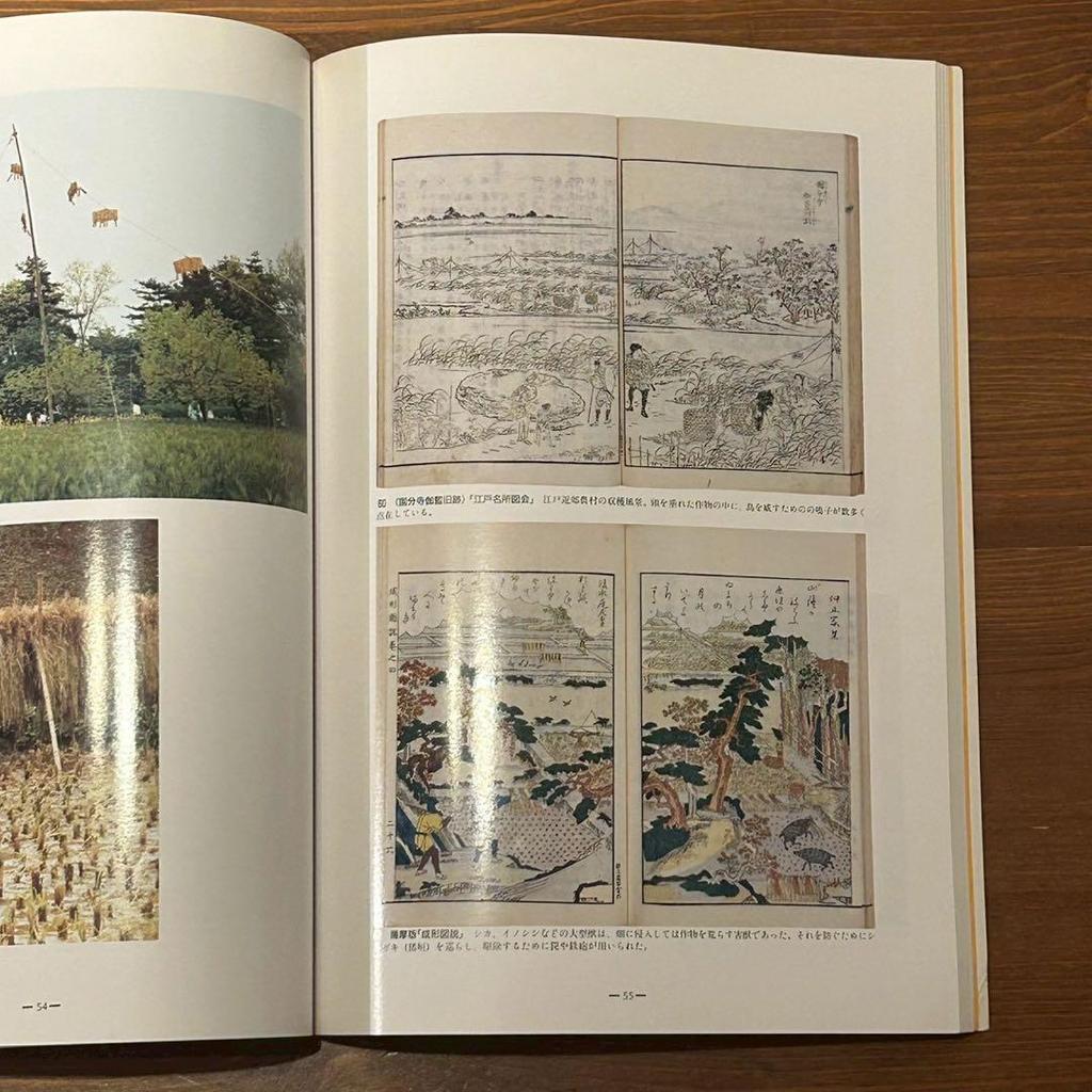 [USED] Interacting with Animals: From Food to Pets National Museum of Japanese History