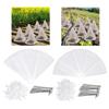 Garden Cloches for Plants Easy to Use Protecting against Sun, Frost Outdoor Mini Greenhouse Clear Foldable Bell Jar Cloche
