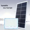Xuan Yong Outdoor Solar Floodlight