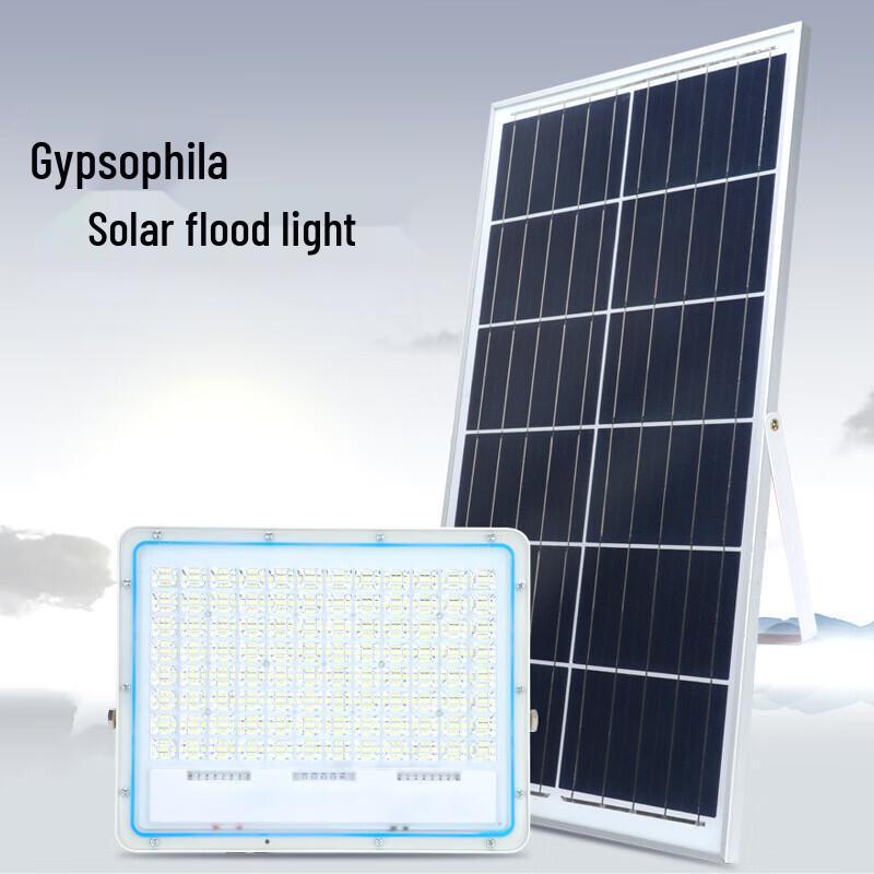 Xuan Yong Outdoor Solar Floodlight