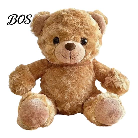 Luxury Gift Packaging Bear Personalized Graduation Gifts 2026 for Her, Cute Teddy with Embroidered Gown Award And Cap, Soft Plush Mascot College High