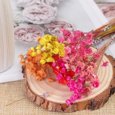 Bouquet séché 30 pièces, résistant aux UV, ne se décolore pas, plantes naturelles pratiques, préservation des fournitures florales de fête