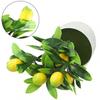 Artificial Artificial LemonTree False Plant Artificial Lemon Tree