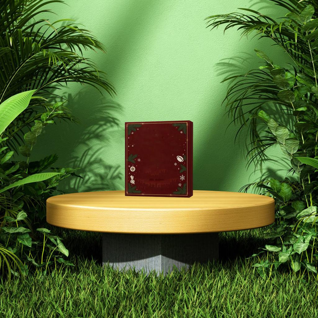 2D Plane+airplane Box +24PC+ Fitness Decoration Advent Christmas Countdown Box Calendar