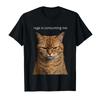 Rage Is Consuming Me Silly Staring Funny Cat Meme Tshirt For Men Women 100 Cotton T Shirts Short Sleeve Tops 04271