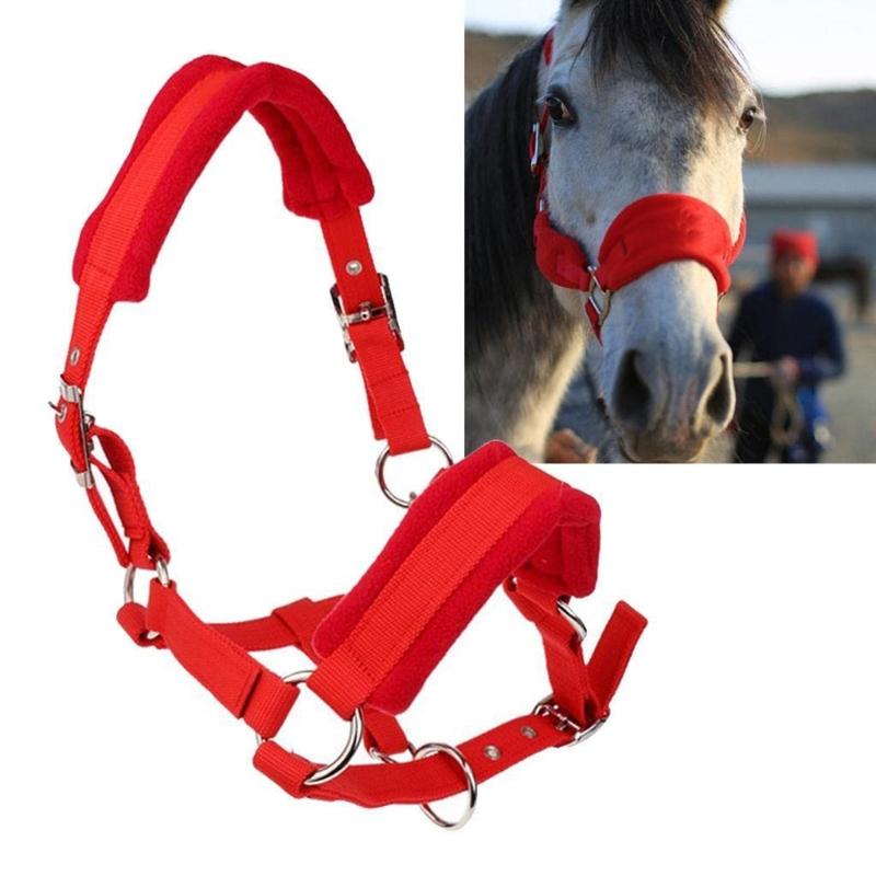 Durability Metal Eye Hook Horse Headgear For Secure Cycling And Training With Rustproofed Stable Bridle Hardware