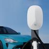 Universal 7KW/11KW Electric Vehicle Charging Station for Home & Commercial Use - Compatible with Tesla, BYD & Wuling Mini