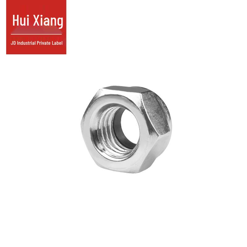304 Stainless Steel DIN985 Nylon Insert Hex Lock Nut