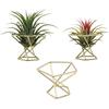T02C!15 Pcs Geometric Air Plant Holder Airplants Rack Metal Plants Stand Planter Shelves Himmeli Decor Tillandsia Containers