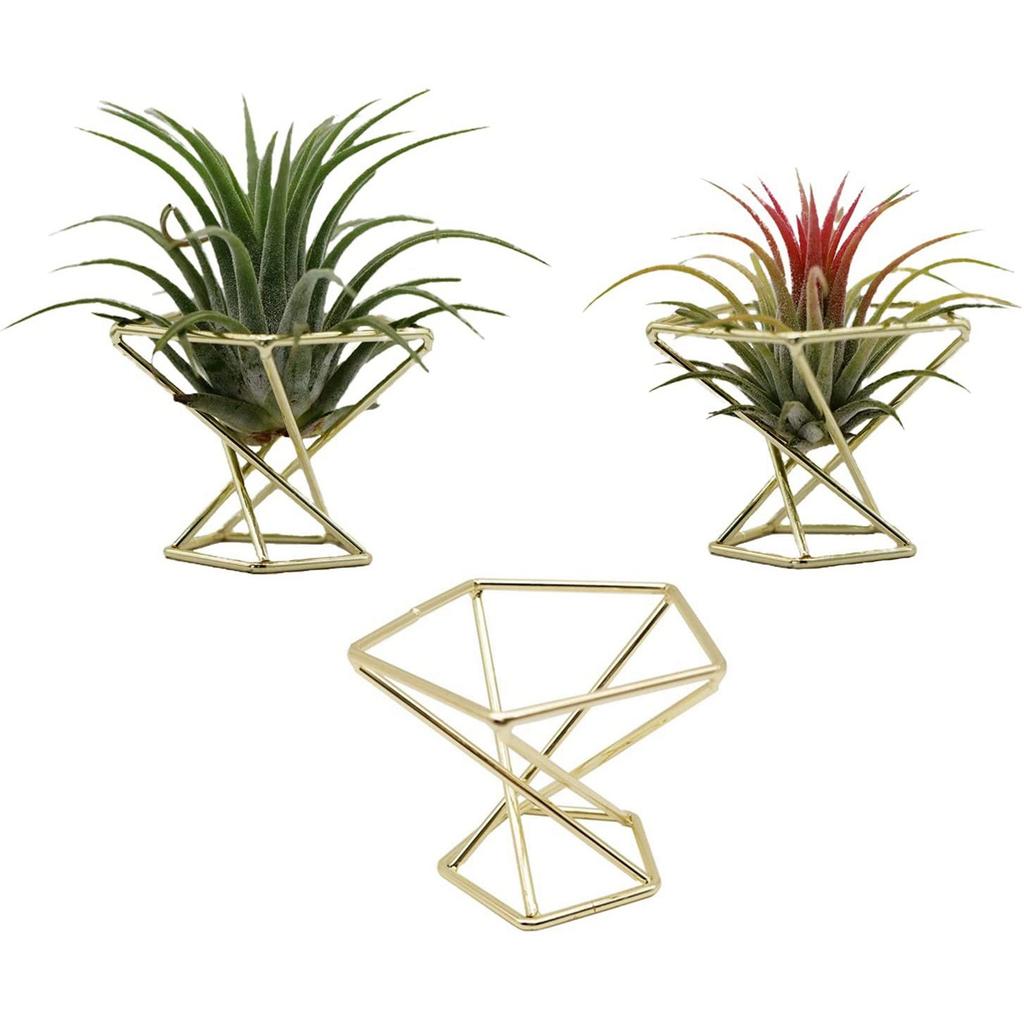 T02C!15 Pcs Geometric Air Plant Holder Airplants Rack Metal Plants Stand Planter Shelves Himmeli Decor Tillandsia Containers