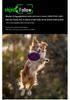 M03 Three-Axis Mobile Stabilizer: Anti-Shake Gimbal for Live Streaming with AI Face Tracking & Detachable Remote Control