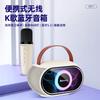 Newmine KS11 Portable KTV Bluetooth Speaker with Microphone CN Plug (adapter Included)