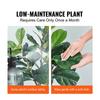 Artificial Fiddle Leaf Fig Tree, 5 FT, Secure PE Material & Anti-Tip Tilt Protection Low-Maintenance Faux Plant, Lifelike Green Fake Potted Tree for