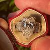 Gorgeous Crystal Pear Cubic Zirconia Women Rings Noble Wedding Engagement Party Bridal Ring Gold Color Fashion Jewelry