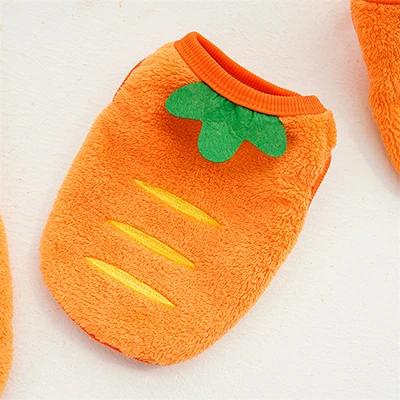 Warm Winter Vest for Small Dogs And Cats Cute Puppy Puffer Jacket Soft Flannel Pet Sweater X-Small Dog Accessories