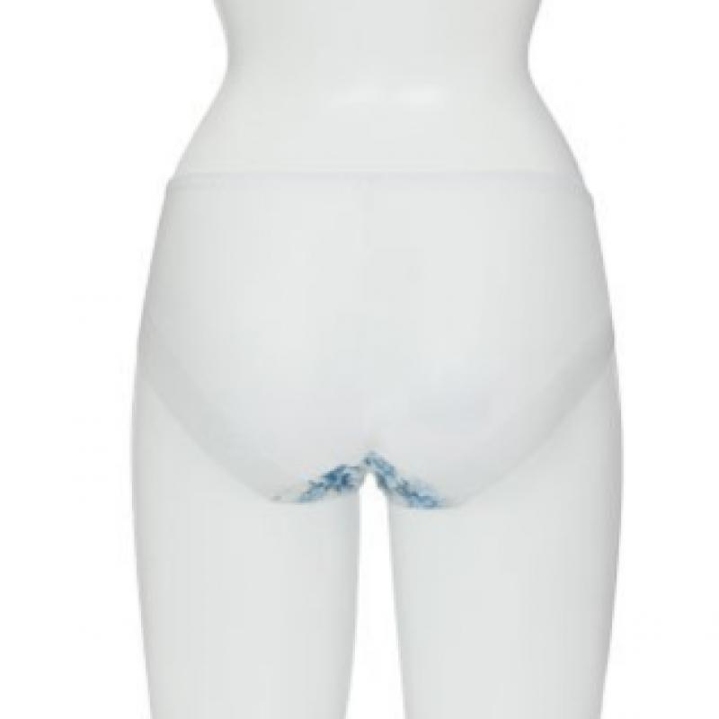 Blue Floral No Wire + Panty Set Lbu Gdwbr312 Bp312 