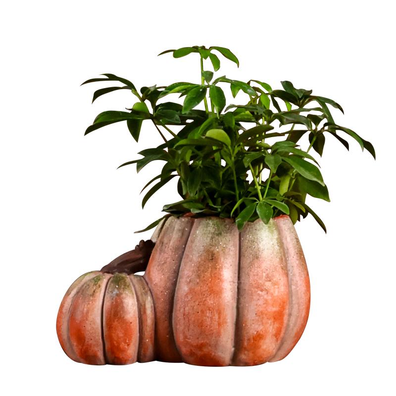 Keramik Blumentopf Cartoon Kürbis Blumenvase Garten und Hof Dekoration Zubehör Sukkulententopf Pflanzen Zubehör