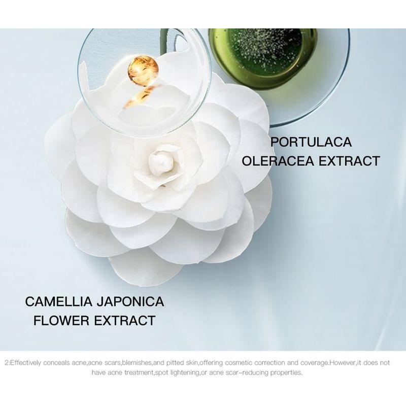 RED CHAMBER - Haruki Concealer Palette