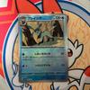 Used Glacier High Class Pack Terrace Star Fes EX Master Ball Mirror