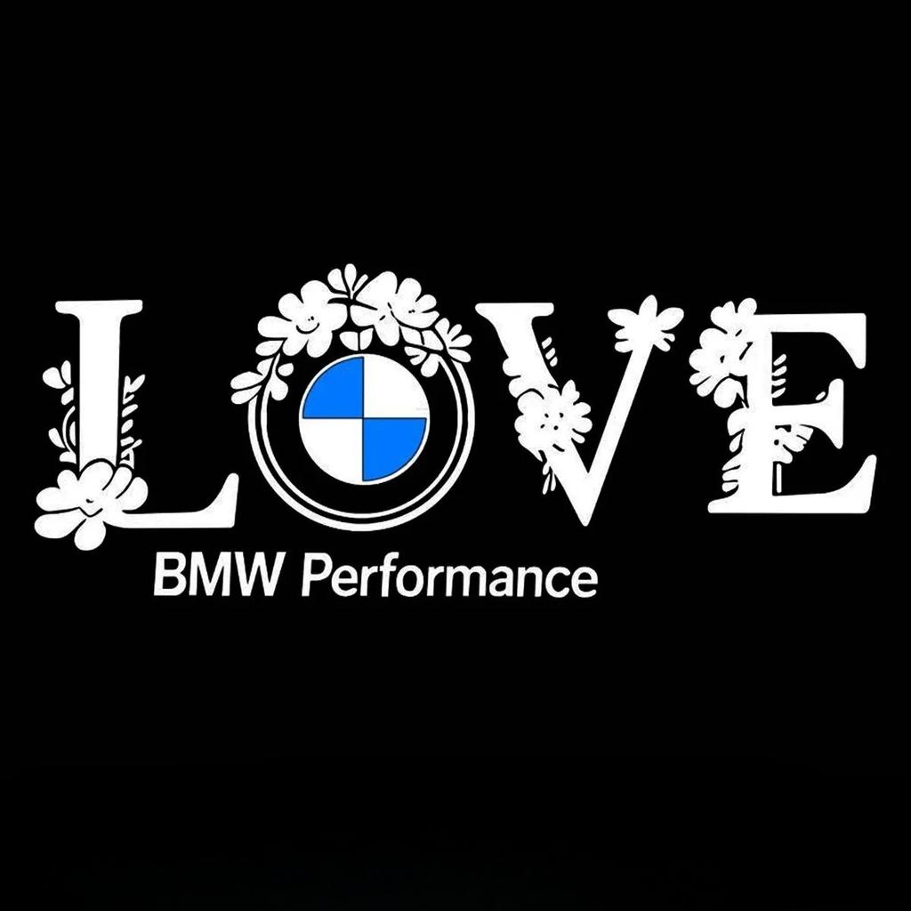Für BMW E90 E91 E92 E93 E60 E61 F10 F07 E63 E64 F12 F13 G30 Zubehör 2/4 Stück HD LED Willkommenslicht Auto Tür Projektorlampen
