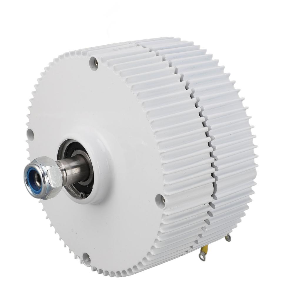 48V Double Shaft Generator 3 Phase Permanent Magnet Synchronous AC Electric Motor for Wind Turbines