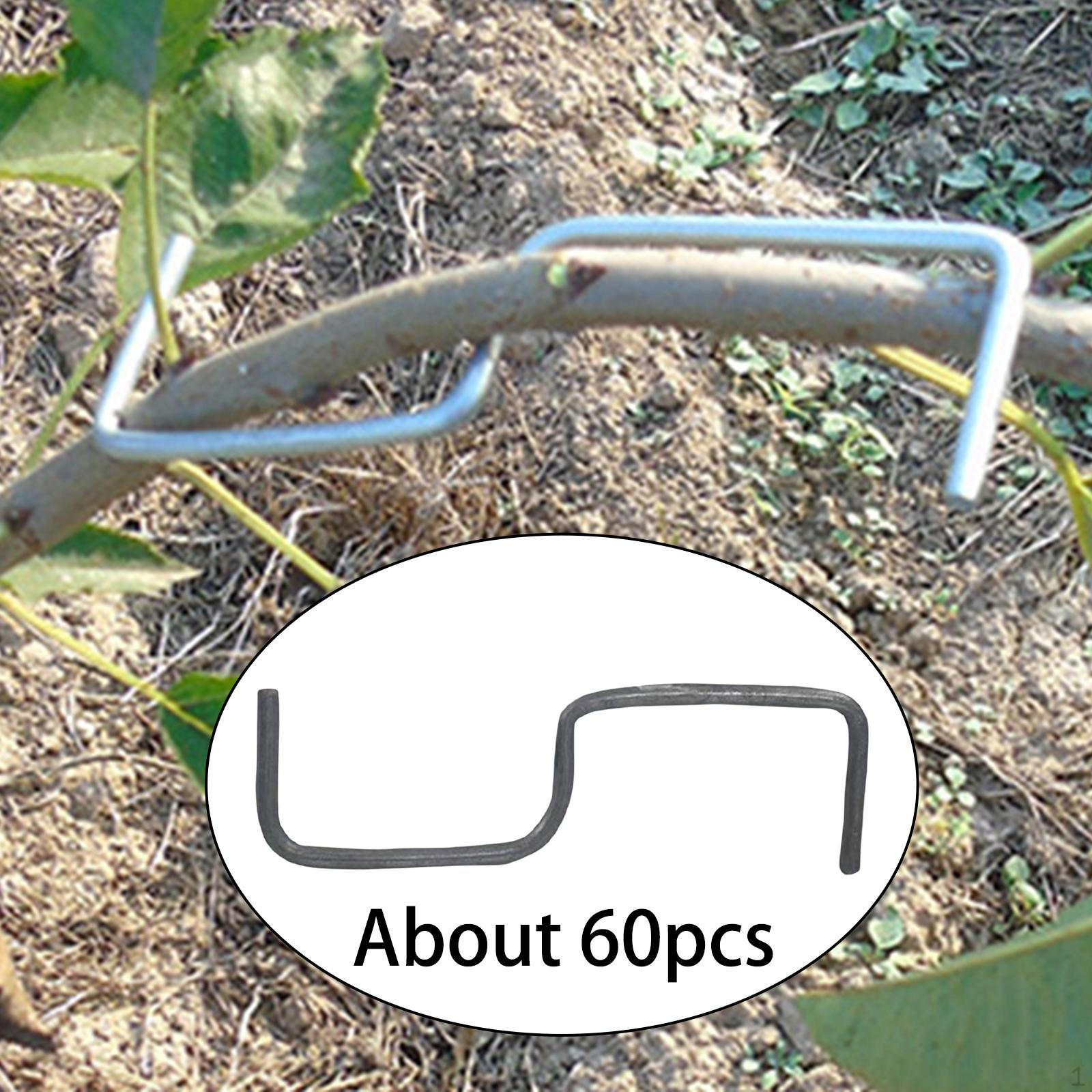 

Система поддержки для роста садов и огородов S8cm