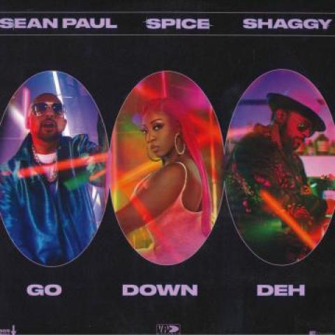

12inch Record SPICE, SEAN PAUL, SHAGGY - Go Down Deh (Main Mix); (Instrument VP6705 VP US 2021 US Reggae, Ska & Dub