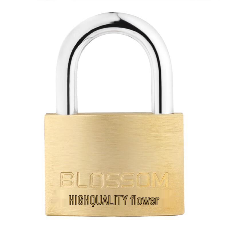 BLOSSOM Brass Padlock
