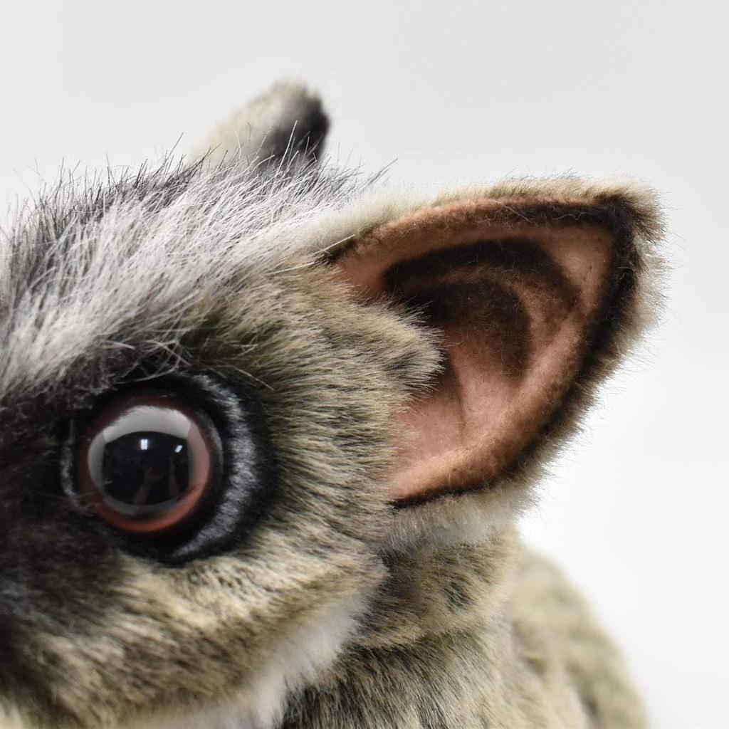 BH7482 HANSA Sugar Glider 22cm