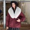 Winter fashion big fur collar cotton jacket women's short simple loose version thickened bread jacket