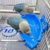 Bird Bath Tub Parrot Automatic Bathtub with Faucet Bird Shower Bathing Tub Bird Feeder Bowl Parrot Automatic Bathtub Pool Supply