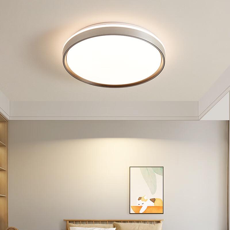 Modern Decorative LED Ceiling Lamp