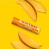 BURT’S BEES Mango Lip Balm