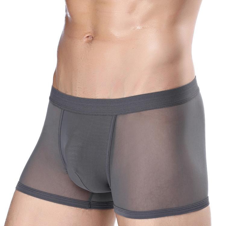 Men's Mesh Transparent Boxer Briefs Sexy Mesh Holes Hollow Breathable Four Corner Male Underwear Shorts