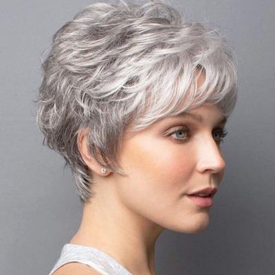 Lady Short Silver Grey Synthetic Wigs for Female Hairstyle Women Daily Natural Hair Curly Heat Resistant Wigs