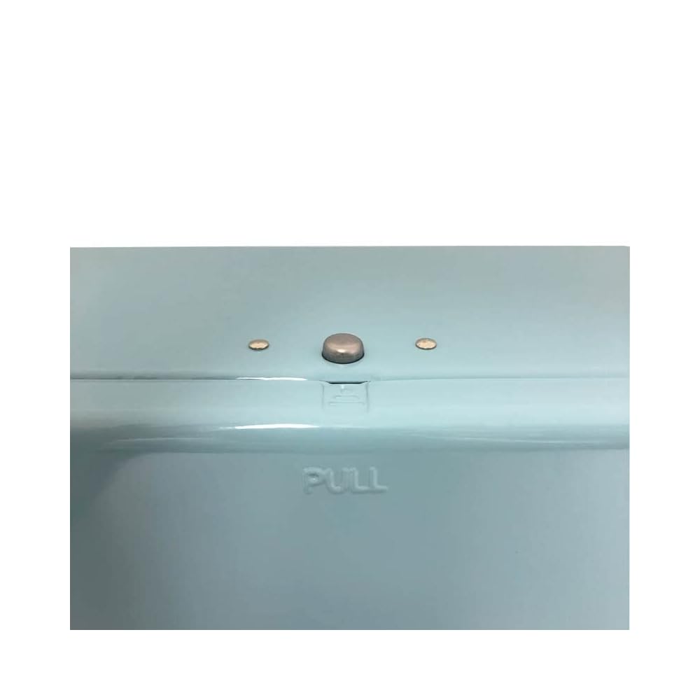Dulton Tissue Dispenser, Saxophone Steel, Paper Holder Box, Height 145mm, Width 260mm, Depth 125mm,