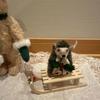 [USED] Steiff Teddy Bear and Hedgehog